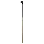 TK LIGHTING TRACK LIGHT TRACER 6029 G9 BLACK/GOLD Különleges ajánlat