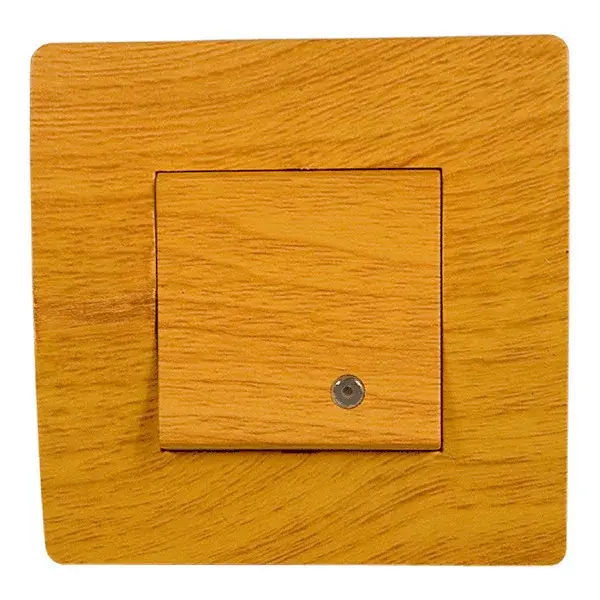 EL BASIC TG114 1 BUTTON 1 WAY SWITCH WITH LIGHT PE Exkluzív ajánlat