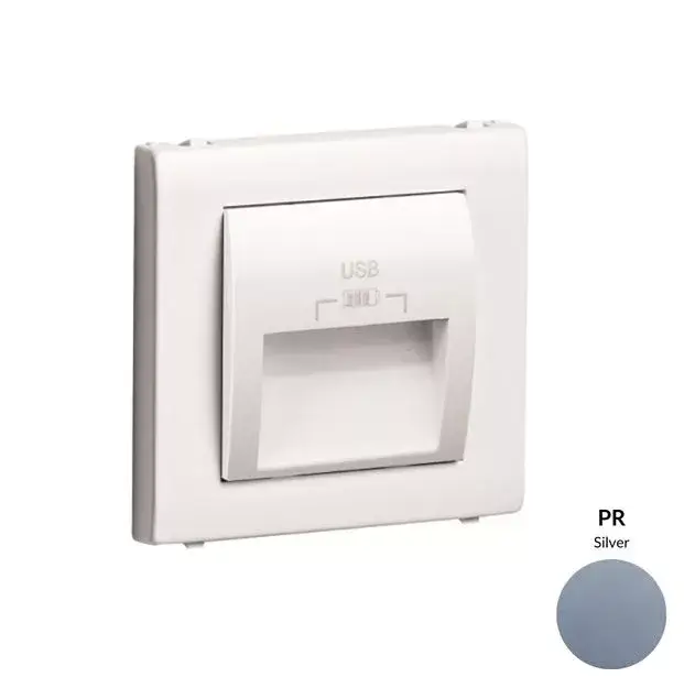 Azonnali szállítás 50673_TPR dupla USB töltő (2x USB-A), 20°-os kimenet, ezüst