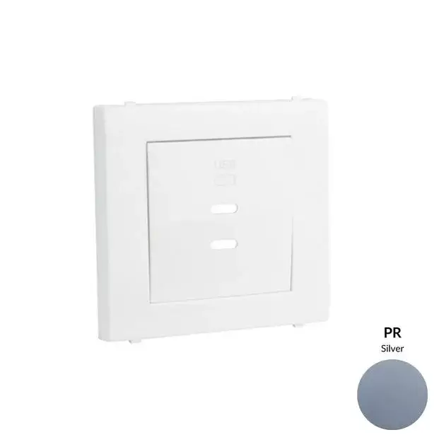 Korlátozott ajánlat 50675_TPR dupla töltő aljzat fedél (2x USB-C), ezüst