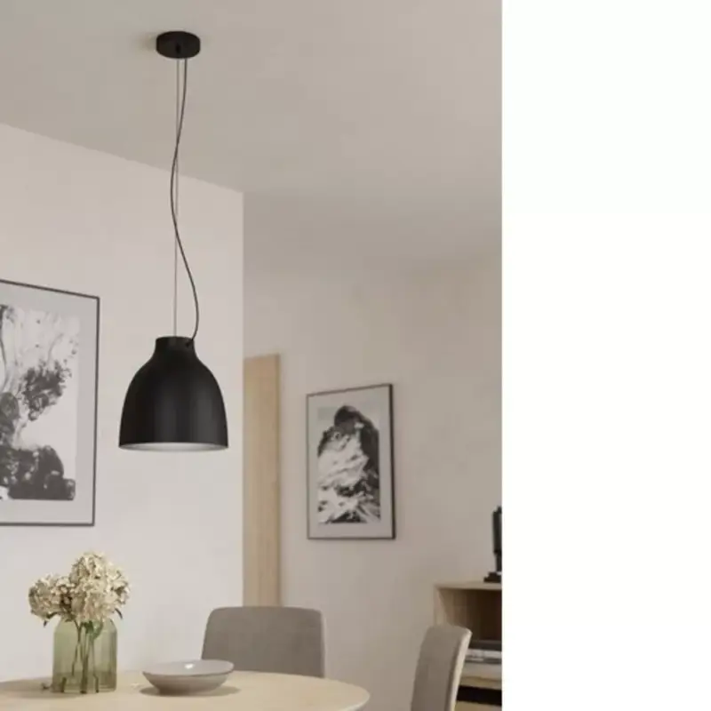 Bestseller EGLO , 900158 , CAMASCA , függeszték , E27 , 1X40W , IP20