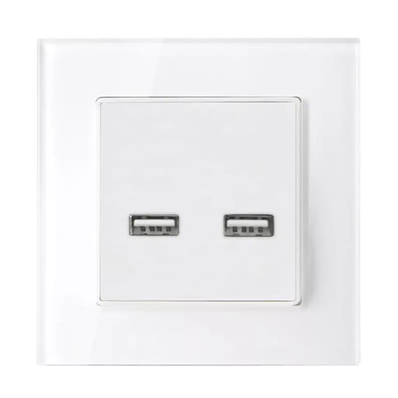 Népszerű DOUBLE USB SOCKET GLASS FRAME WHITE