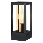 Prémium Fekete homlokzati lámpa Cissus az E27 izzóhoz IP54