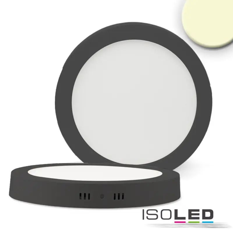 Újdonság LED mennyezeti lámpa, fekete, 24 W, kerek, 300 mm, meleg fehér dimmelheto