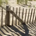 Vásárlói kedvenc Árnyékos strand - üvegkép