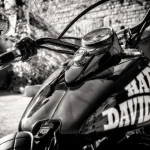 Harley - vászonkép Rendeld meg most