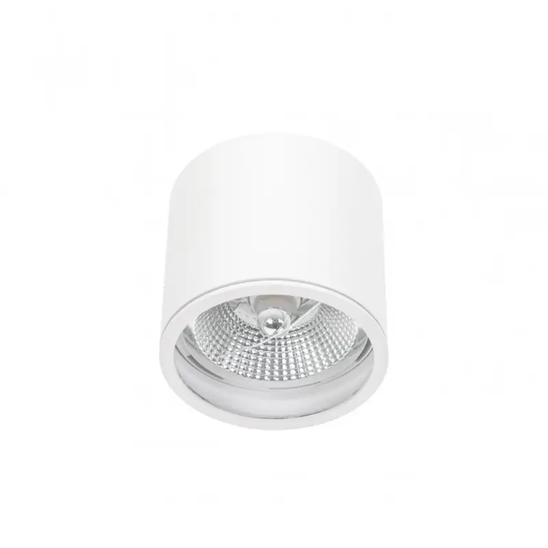 Akciós ár CHLOE AR111 GU10 IP65 round white