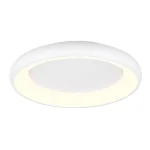 Utolsó esély Trio CARDONA mennyezeti lámpa, fém, fehér, LED, 38W, 4400lm, 2300K+3000K+4000K - Trio-649616031
