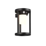 Vásárlói kedvenc Trio CARMO kültéri fali lámpa mozgásérzékelővel fém, fekete, LED, 3000K, 2W, 130lm, IP54 - 241069132