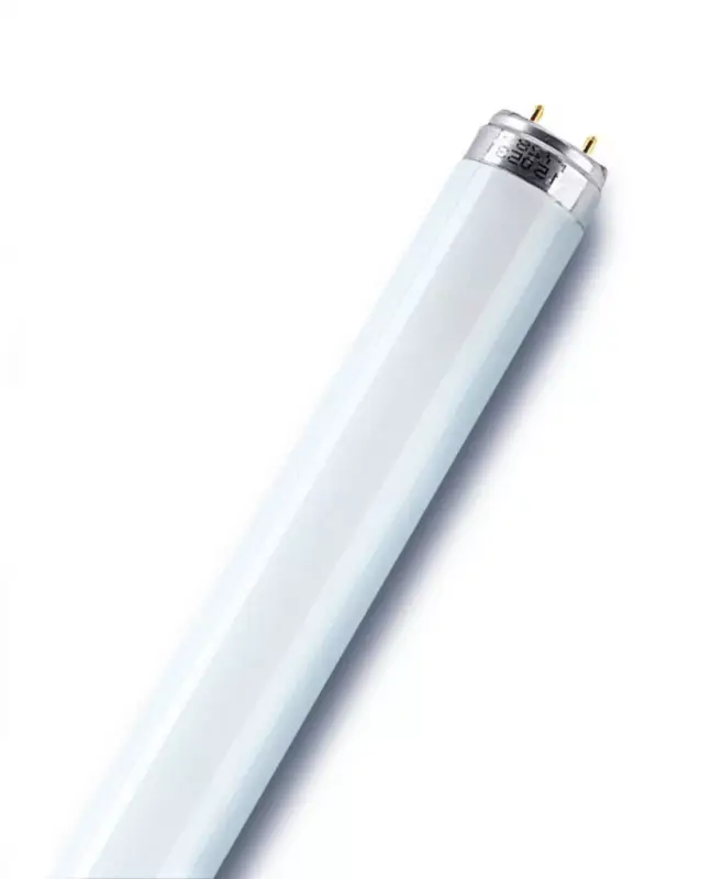 G13 T8 fénycső 36W 3350lm 3000K1200mm OSRAM Rendeld meg most