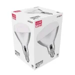 Expressz kézbesítés Avide infra izzó fehér E27 ASIR27-150W-C