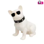 Legnépszerűbb SAL BT DOG hordozható multimédia-hangszóró, 5 W, BT, FM rádió, ~5 óra üzemidő, USB, MicroSD BT DOG