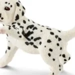 Dalmata kölyök 16839 Olcsó