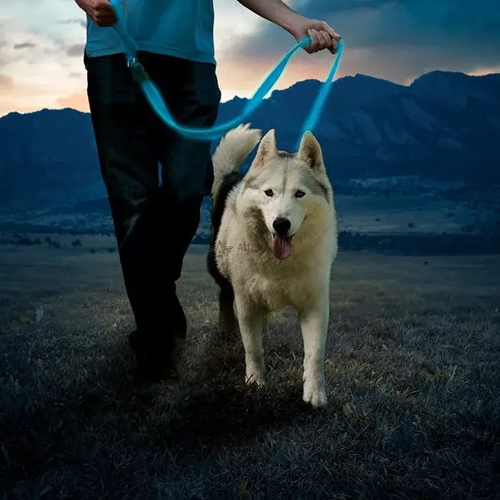 Nitedog® tölthető -póráz - Kék/kék LED Korlátozott ajánlat