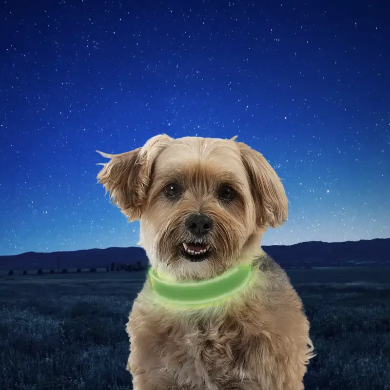 Azonnali szállítás Nitedog® tölthető nyakörv - M - Lime/Green LED