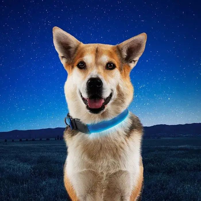 Nitedog® tölthető -nyakörv - S - Kék/Kék LED Outlet
